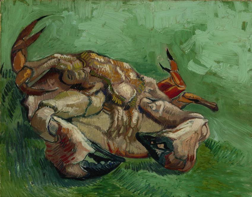 Arratia e fundit e tim eti | Bruno&nbsp;Schulz