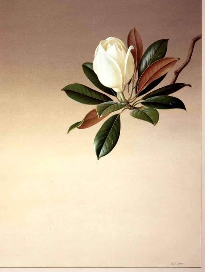 Nasos Vajenas |&nbsp;Adagio